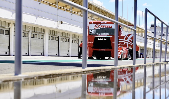 忽视的力量 忽视的力量