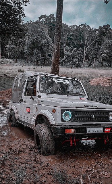 越年龄的成 越年龄的成