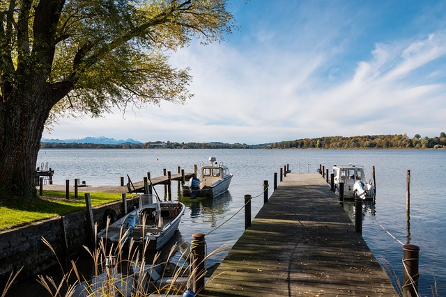 动发展的重 动发展的重