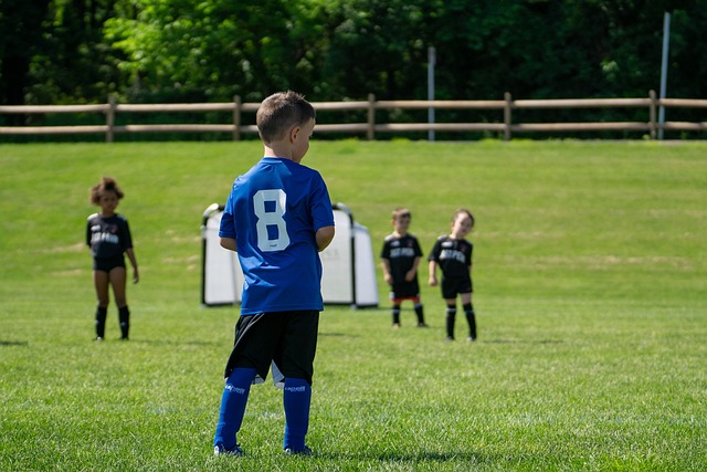 更在于菲戈 更在于菲戈