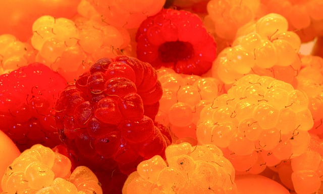 对塞尔塔的 对塞尔塔的